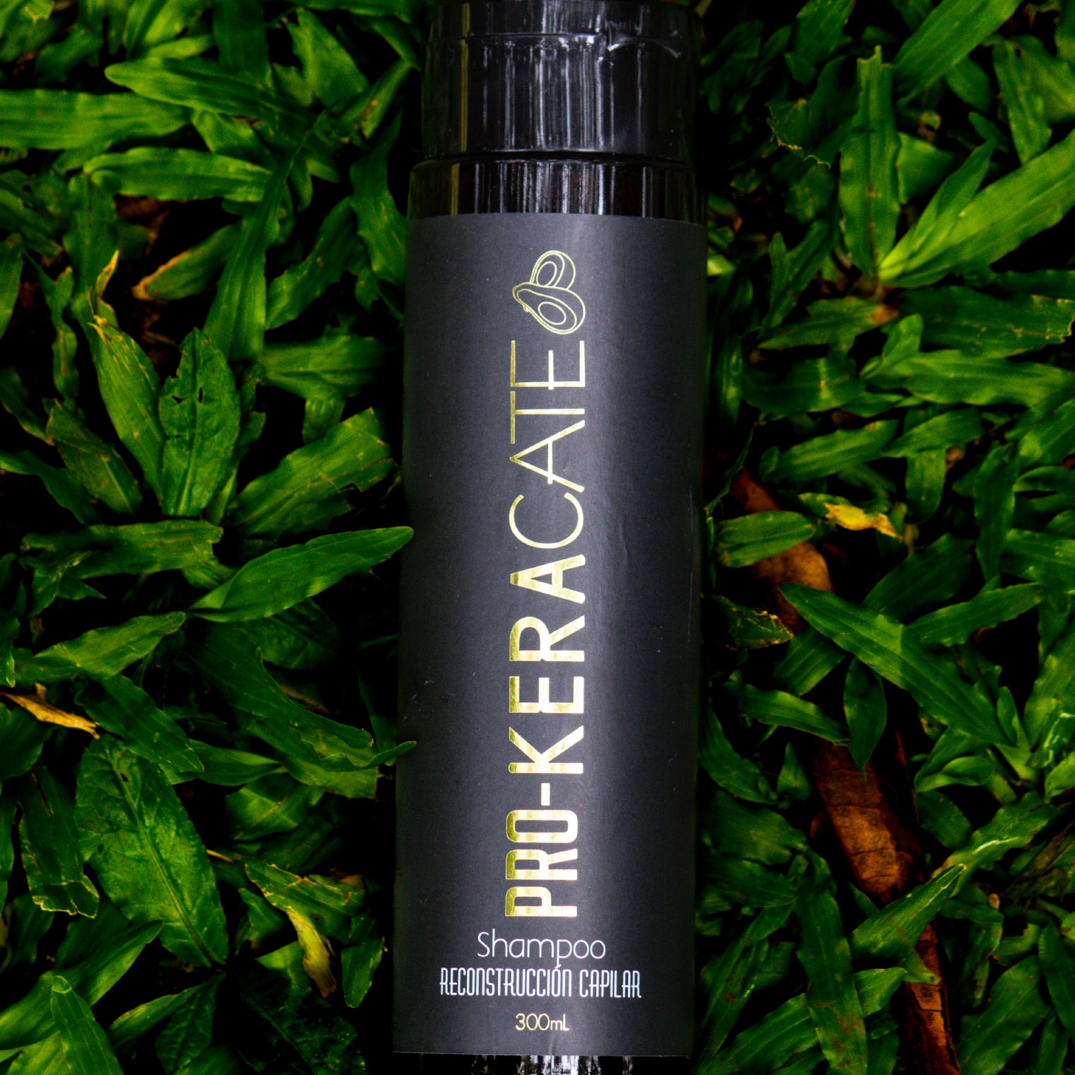 Shampoo Pro-Keracate